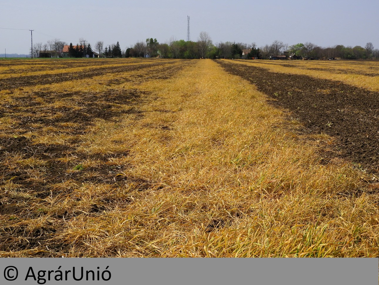 NapiKép 2019.04.05.