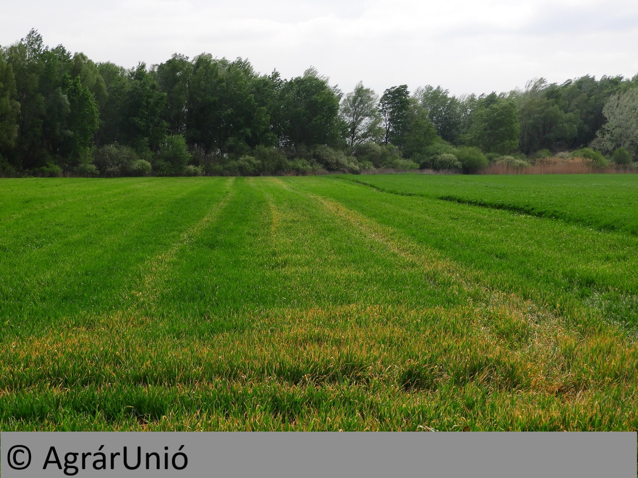 NapiKép 2019.04.24.