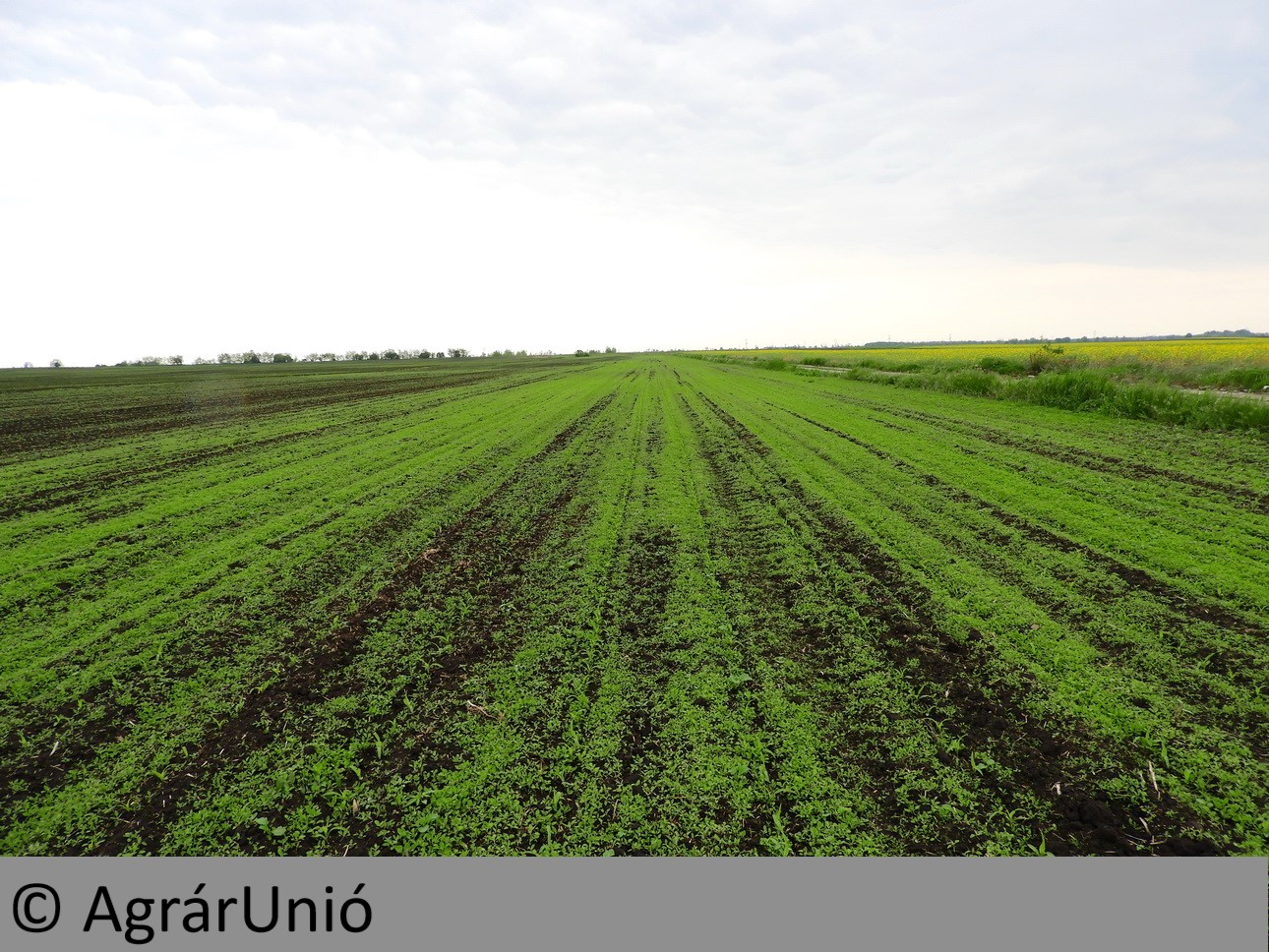 NapiKép 2019.05.08.