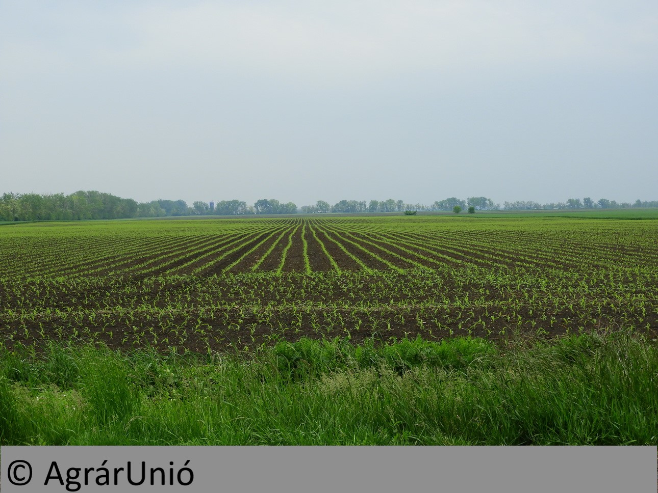 NapiKép 2019.05.11.