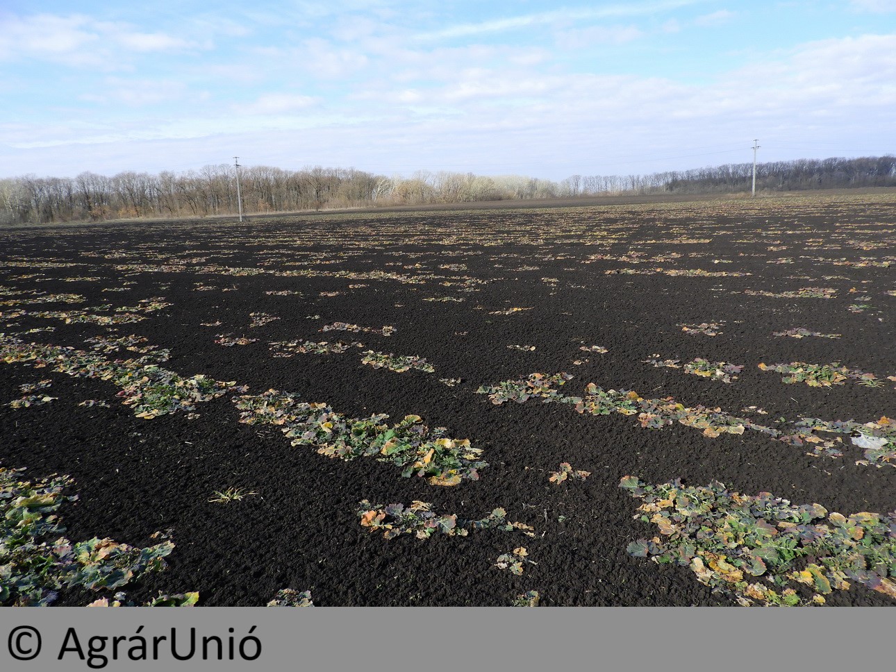 NapiKép 2019.03.05.