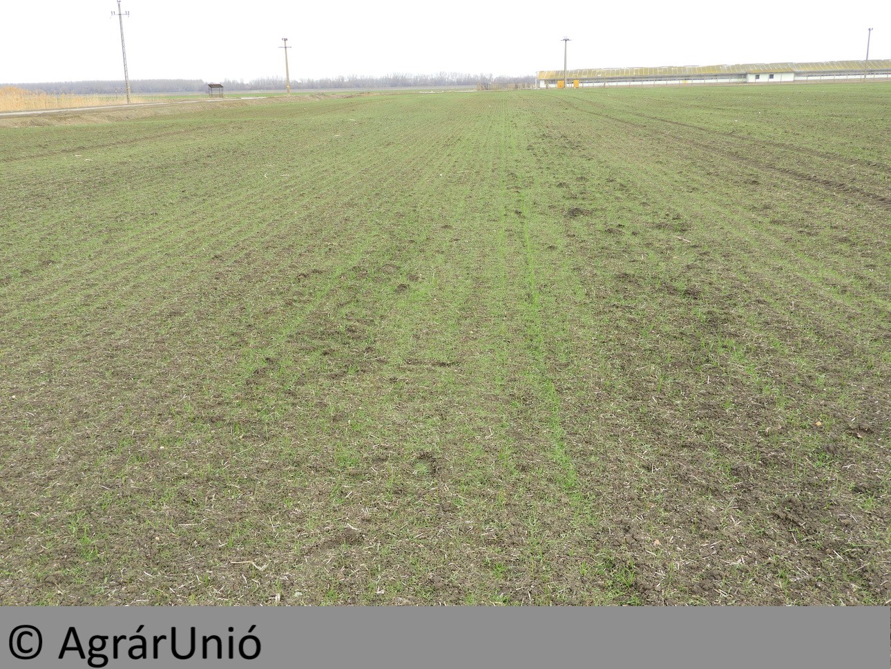 NapiKép 2019.03.06.