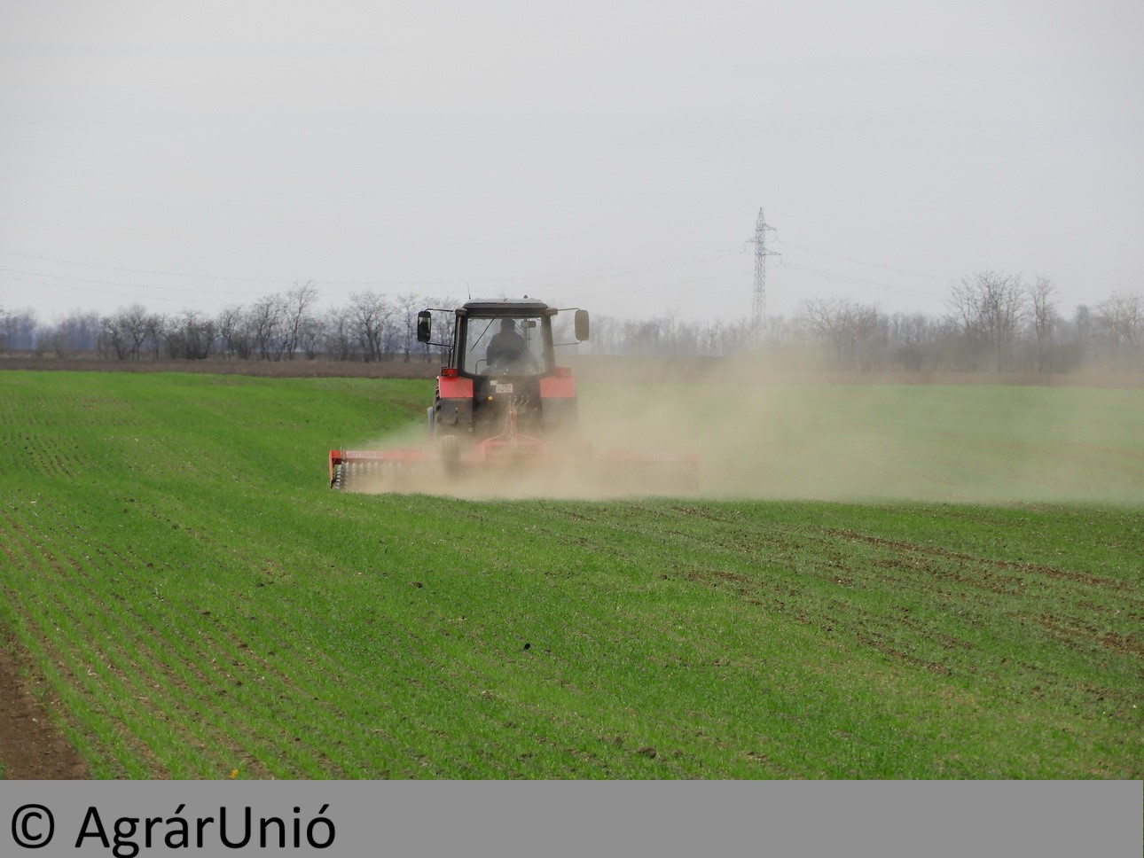 NapiKép 2019.03.17.
