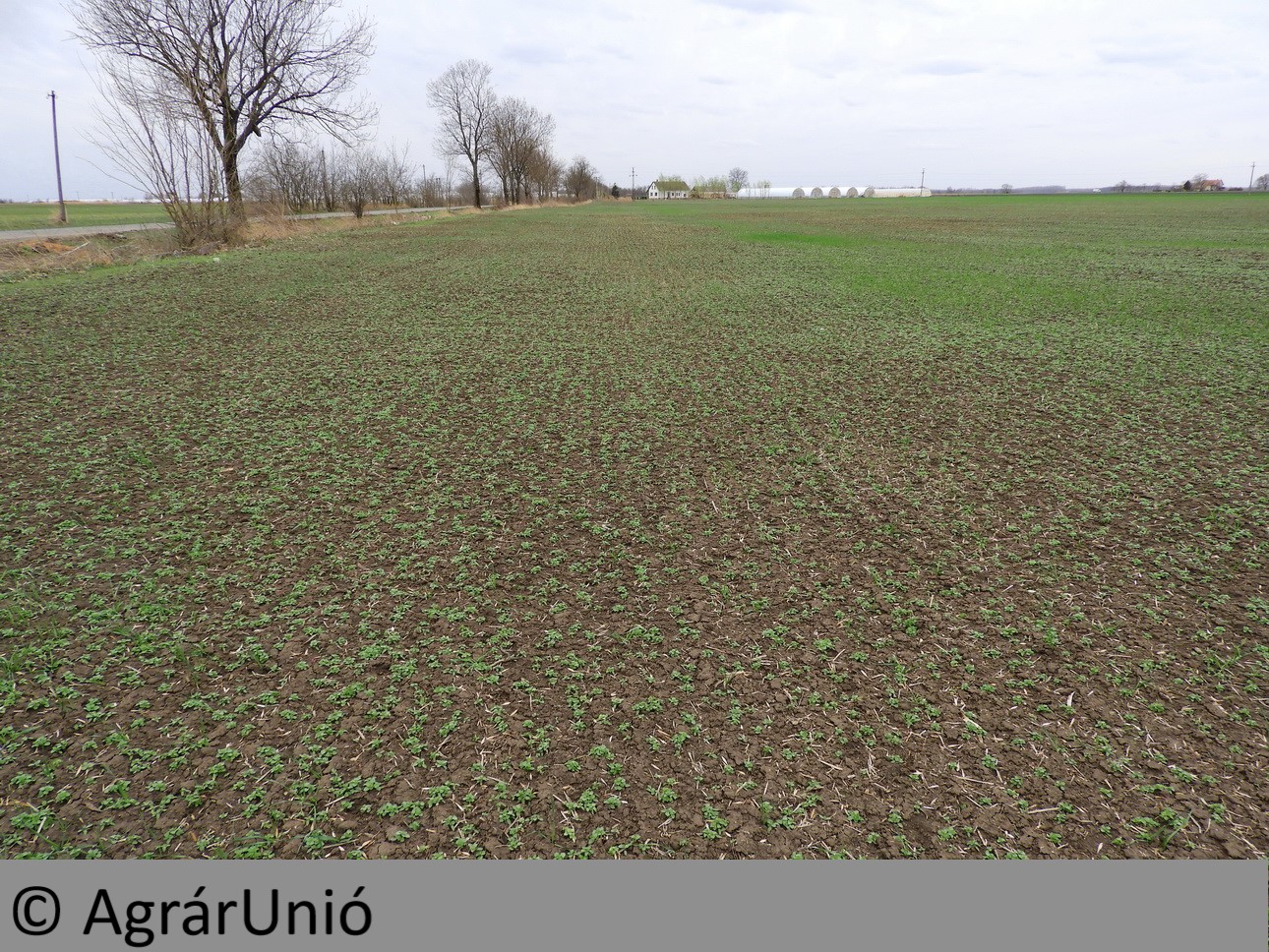 NapiKép 2019.03.18.