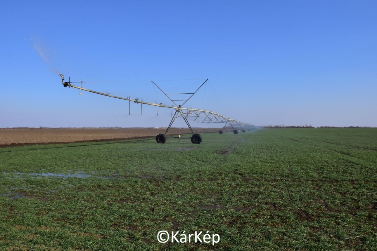 NapiKép 2022.03.25. 
