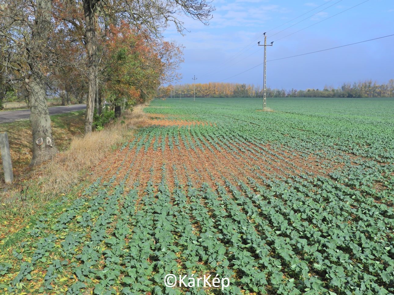 NapiKép 2022.11.07.