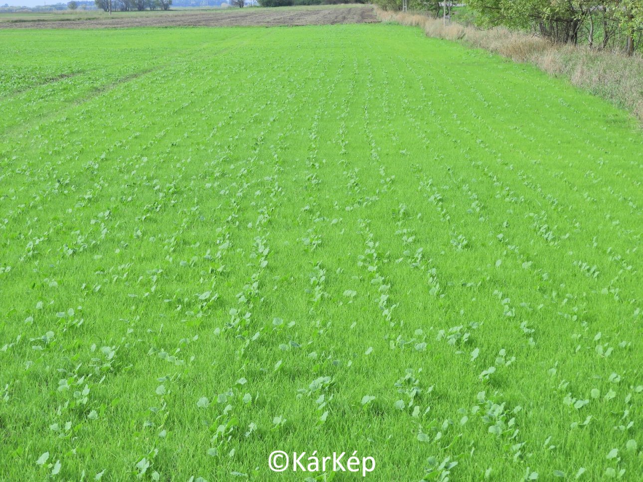 NapiKép 2022.10.14.