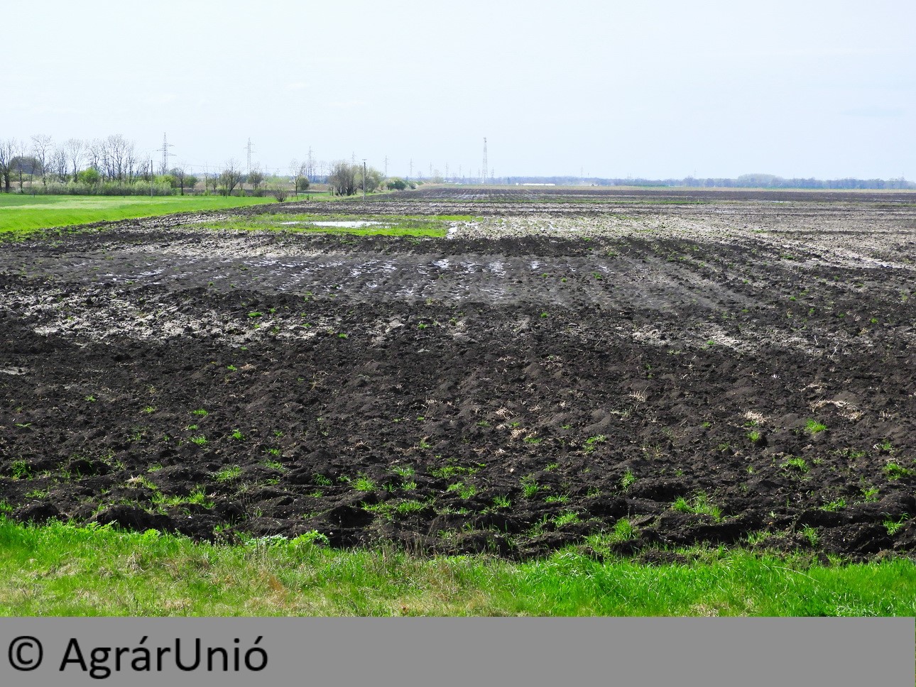 NapiKép 2018.04.18.